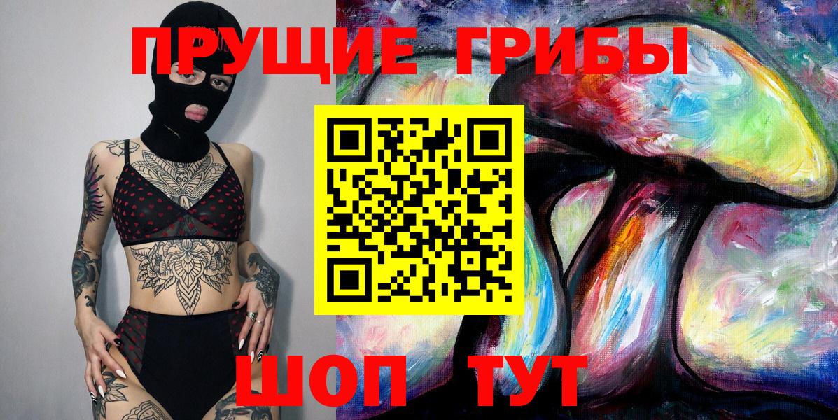 Кудымкар  Псилоцибиновые грибы Psilocybe  Вход с VPN 